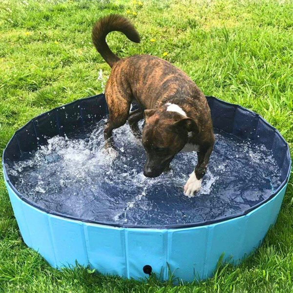 Foldable Dog Pool Pet Bath Swimming Tub Bathtub Outdoor Indoor Collapsible Bathing Pool For Dogs Cats Kids Pool - Image 3