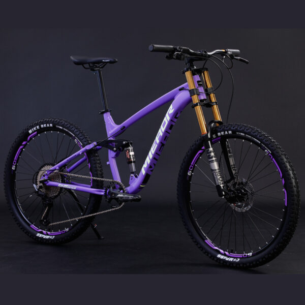 Aluminum Alloy Soft Tail Oil Brake Damping Mountain Bike Bicyc - Image 3
