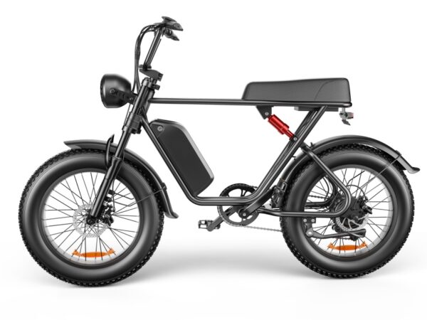 C91 - 20 Inch 20A Electric Bike ---- Purchase Style, Please Check The Details - Image 2