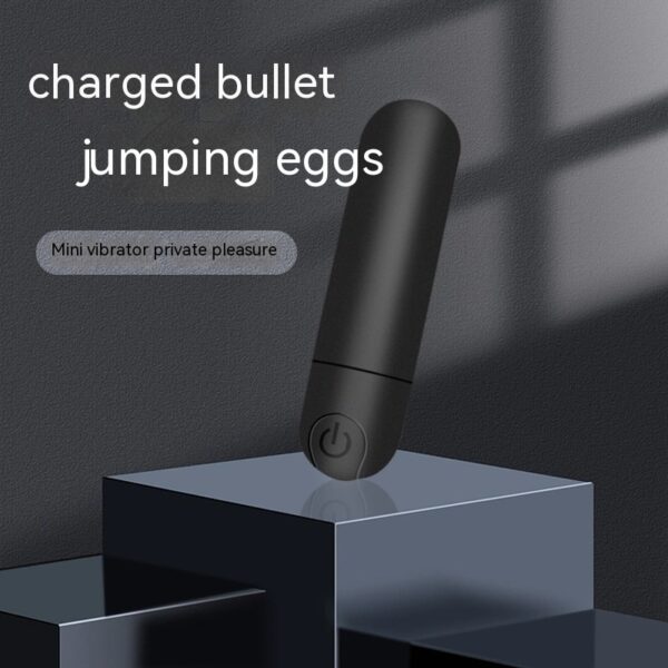 Portable Mini Charging Bullet Shaker