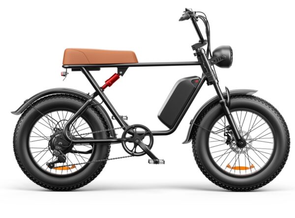 C91 - 20 Inch 20A Electric Bike ---- Purchase Style, Please Check The Details - Image 4